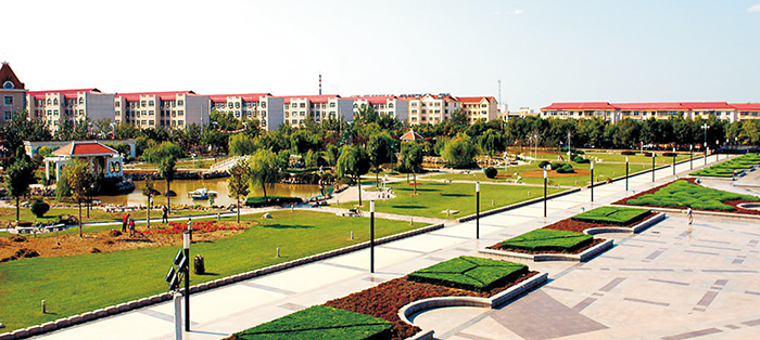 黃驊市南排河鎮(zhèn)趙家堡、賈家堡村民聯(lián)建工程